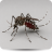 Mosquitos